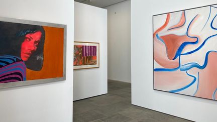 Quelques unes des œuvres exposées à la Villa Carmignac&nbsp;: Martial Raysse, sans titre (1962)&nbsp;;&nbsp;Francesco Clemente, Autobiography (2003)&nbsp;; Willem de Kooning, Untitled XLIII (1984). (AUDE LAMBERT / RADIO FRANCE)