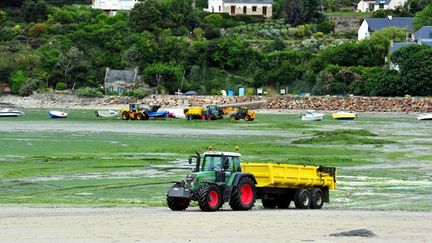  (Saint-Michel-en-Grève en 2011, là où un cheval est mort deux ans auparavant © Maxppp)