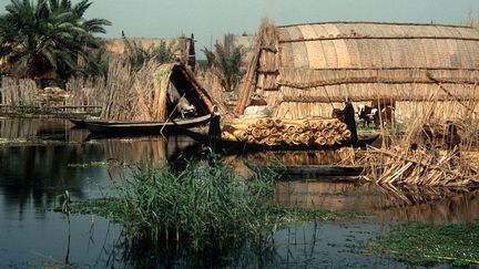 C'est dans ce cadre que la bible aurait situé le jardin d'Eden et que se sont développées les civilisations de Sumer, d'Ur ou d'Uruk. (SCHOLZ / DPA)